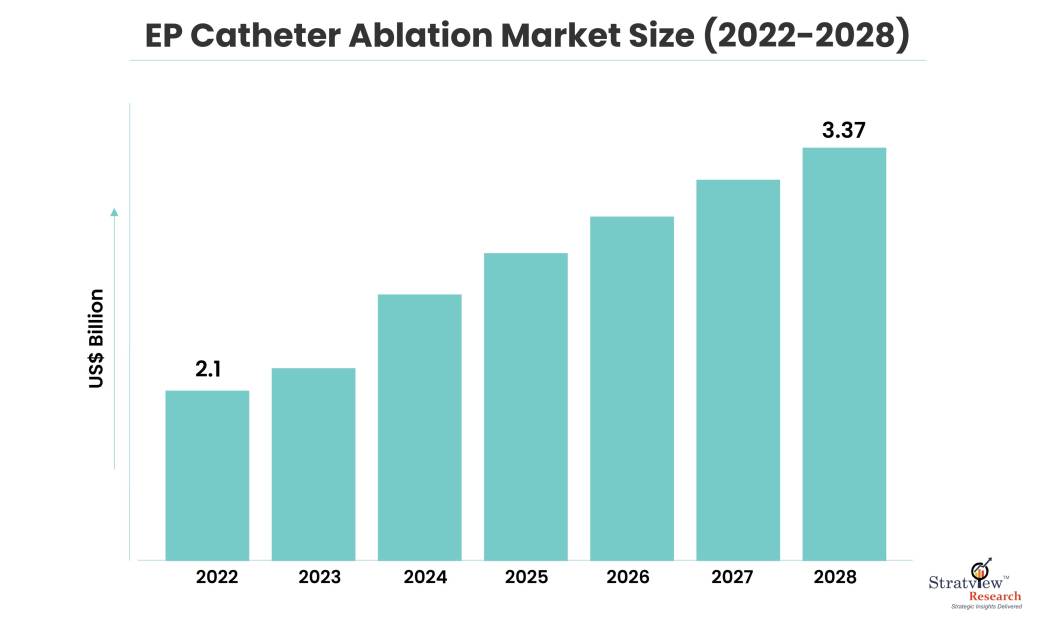 Ep Catheter Ablation Market Size